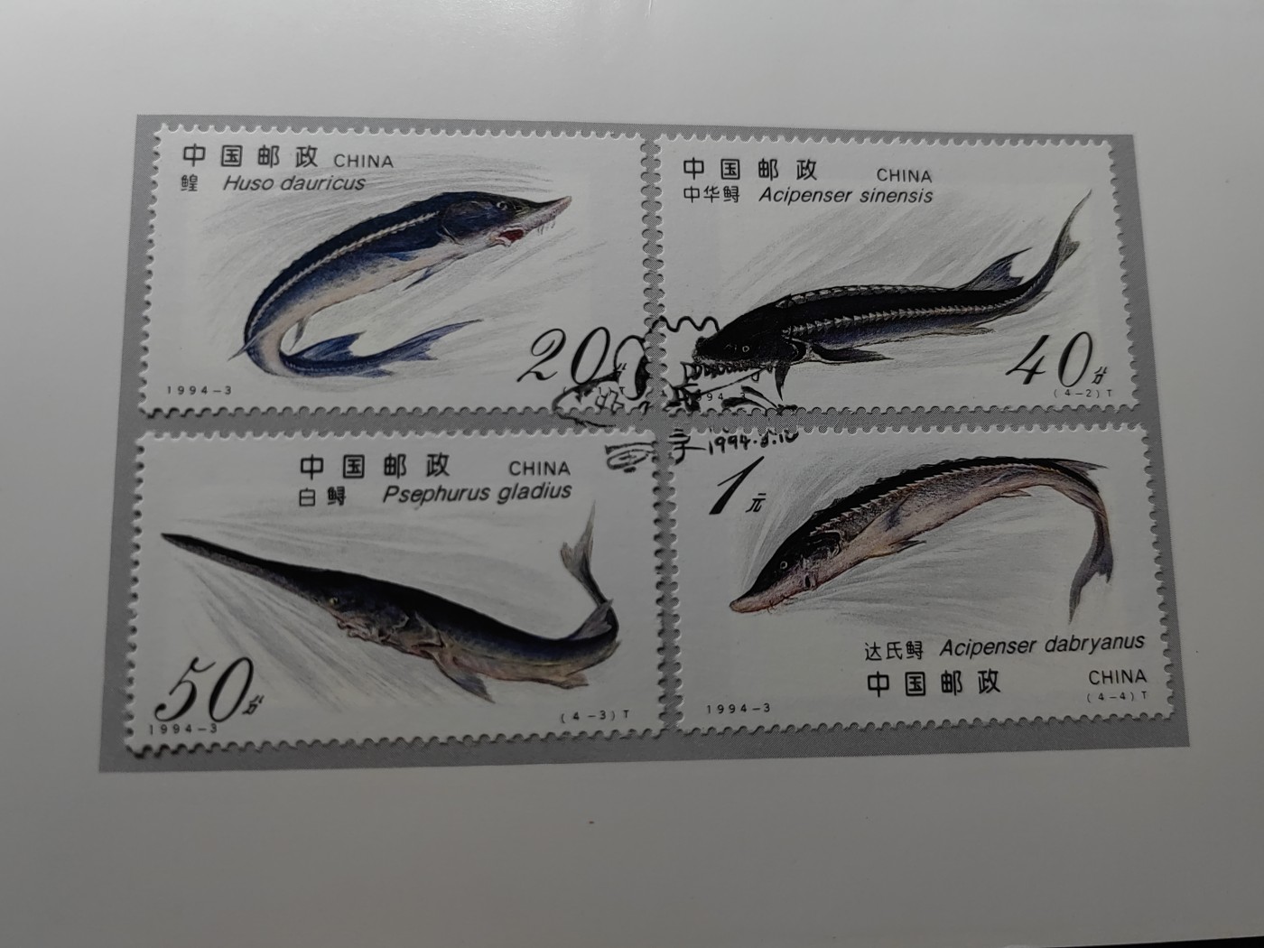 中国：纪念邮折专场（秒杀）第①⑦场 1994-4 鲟鱼