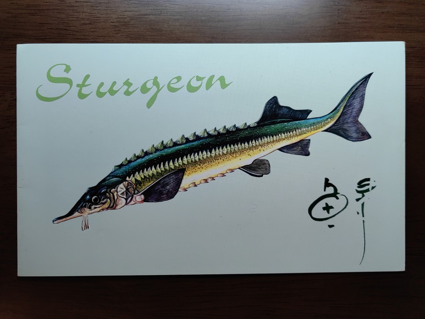 中国：纪念邮折专场（秒杀）第①⑦场 1994-4 鲟鱼