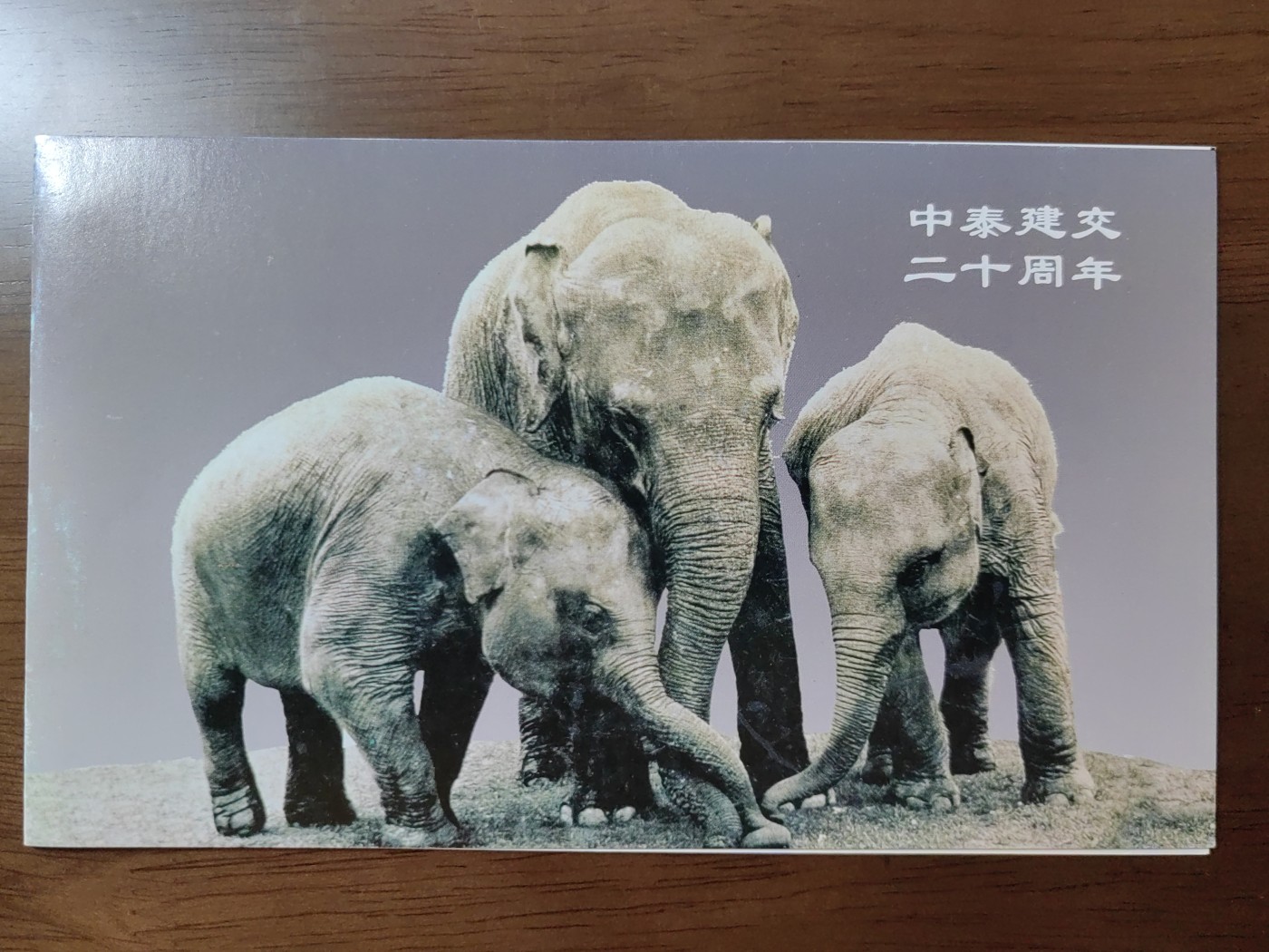 中国：纪念邮折专场（秒杀）第①⑦场 1995中泰建交20周年（与中国联合发行）