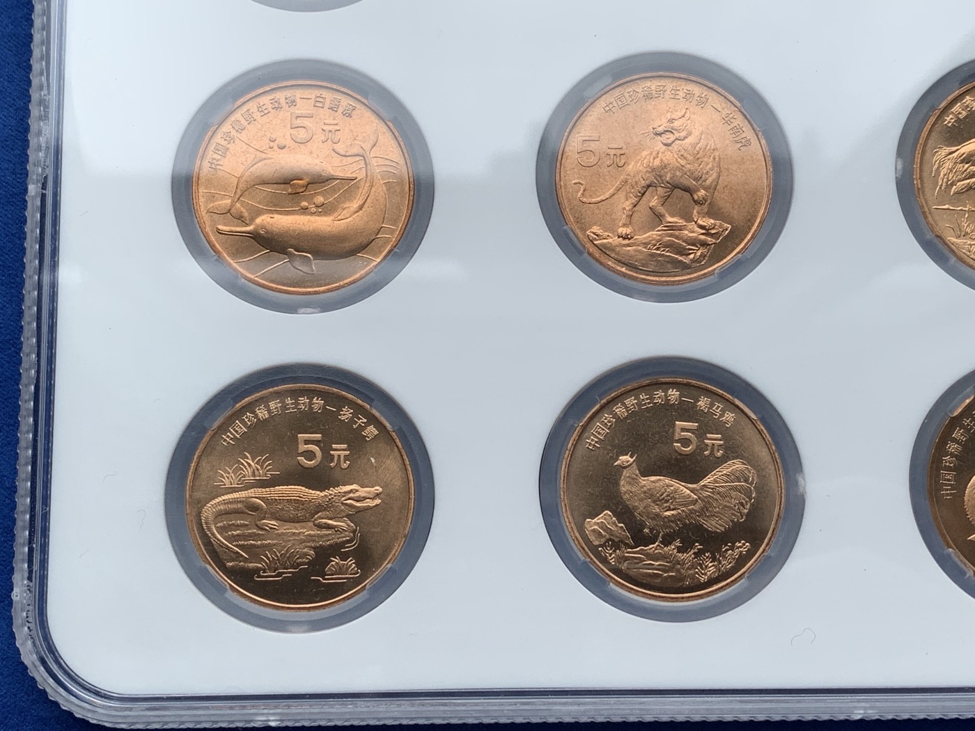 《竞宝斋》第209场-周日，周一 2场 (全场包邮) 保萃老盒 MS68 珍惜野生动物纪念币 一套 巨大盒装