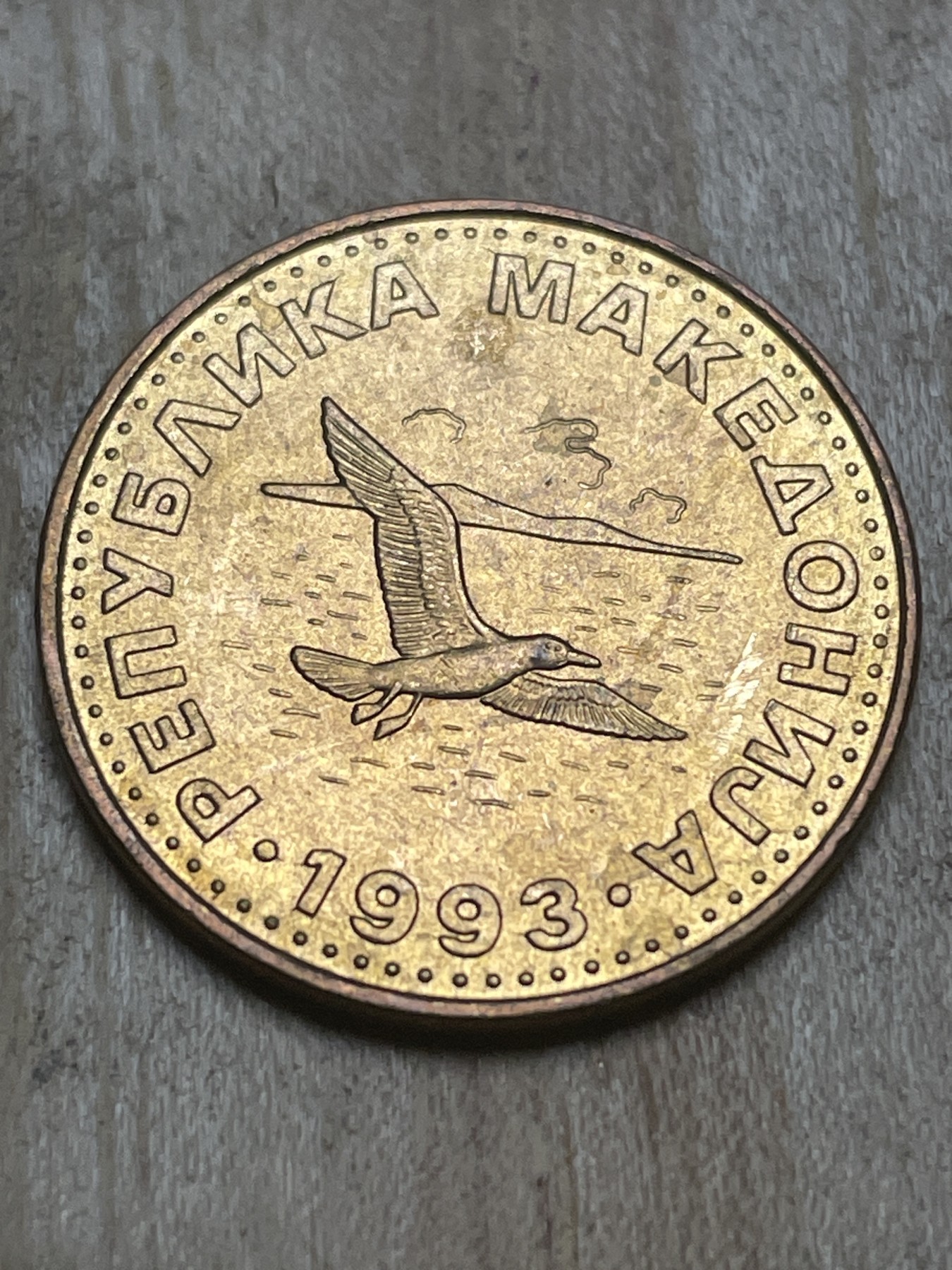 神仙姐姐散币专场第四期（无佣金，预留一期） 全新马其顿1993年50第纳尔海鸥动物币