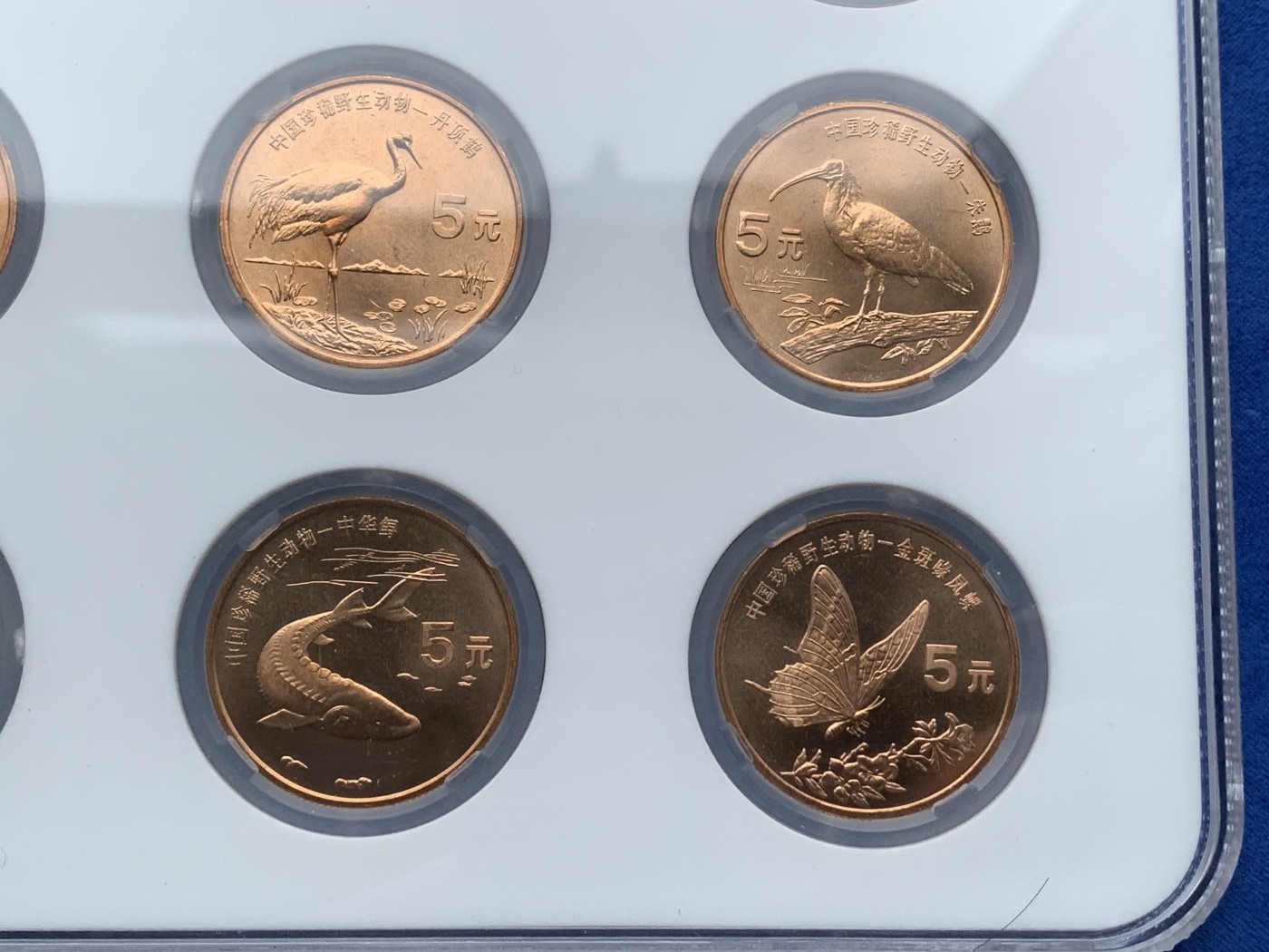 《竞宝斋》第209场-周日，周一 2场 (全场包邮) 保萃老盒 MS68 珍惜野生动物纪念币 一套 巨大盒装