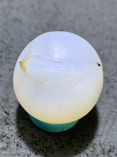 精美高玉化亚光海洋玉髓手工俏色巧雕羽毛圆珠一个 - 精美高玉化亚光海洋玉髓手工俏色巧雕羽毛圆珠一个