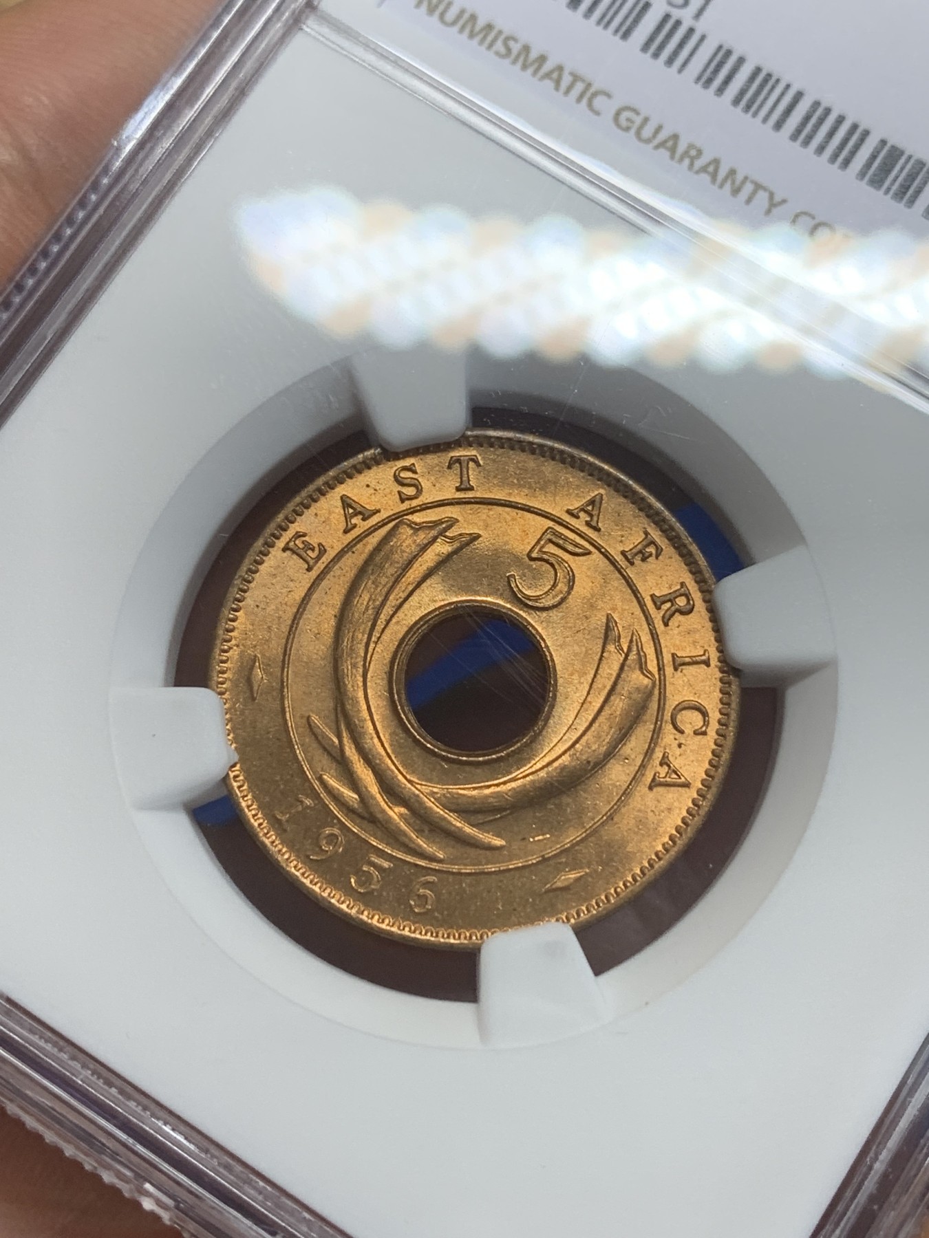 《竞宝斋》第209场-周日，周一 2场 (全场包邮) NGC-MS65RD 英属东非 1956年伊丽莎白二世5分铜币 原红铜光 亚军分 只有1枚最高分