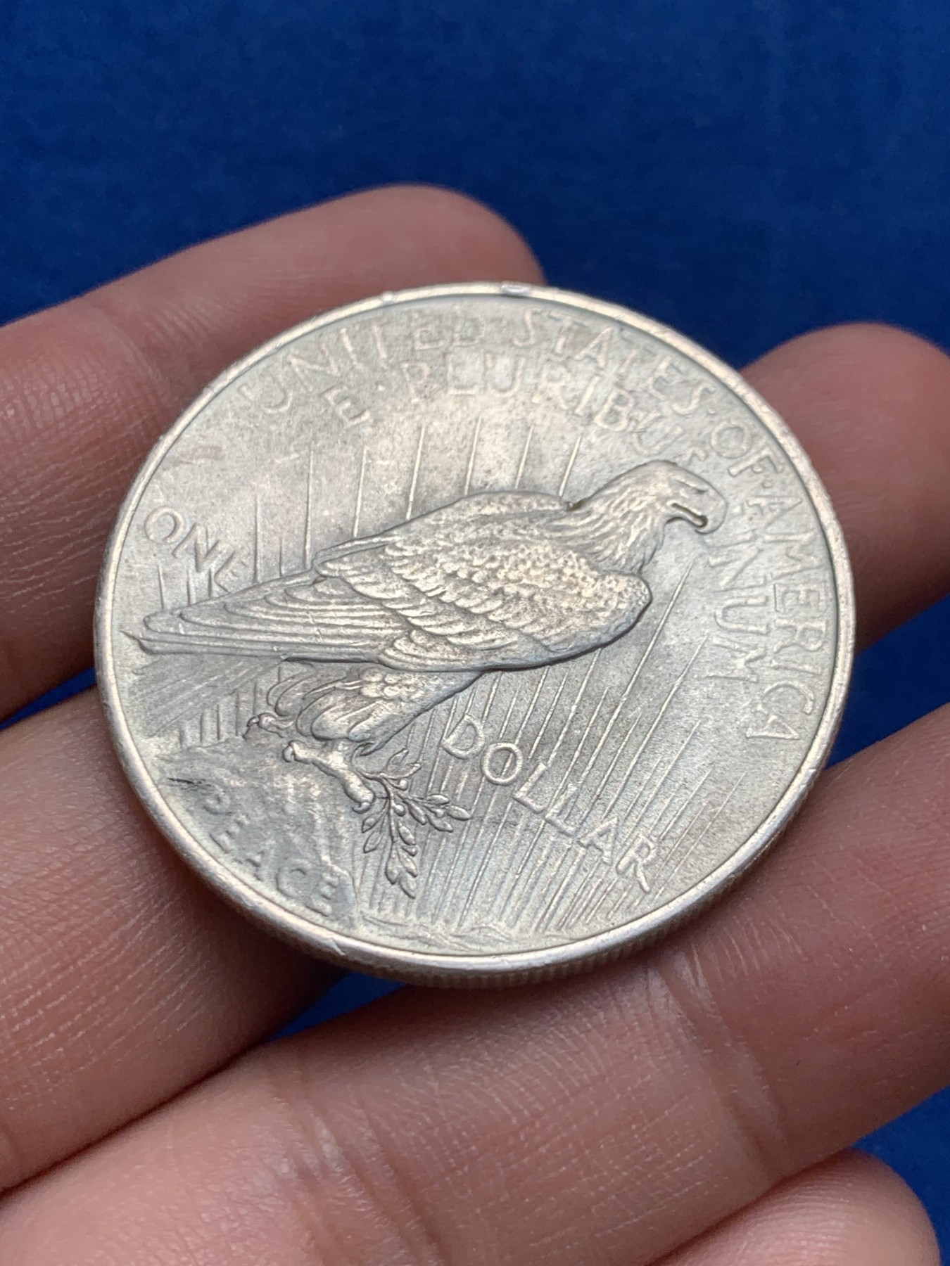 《竞宝斋》第209场-周日，周一 2场 (全场包邮) 美国1923年和平女神1美元银币