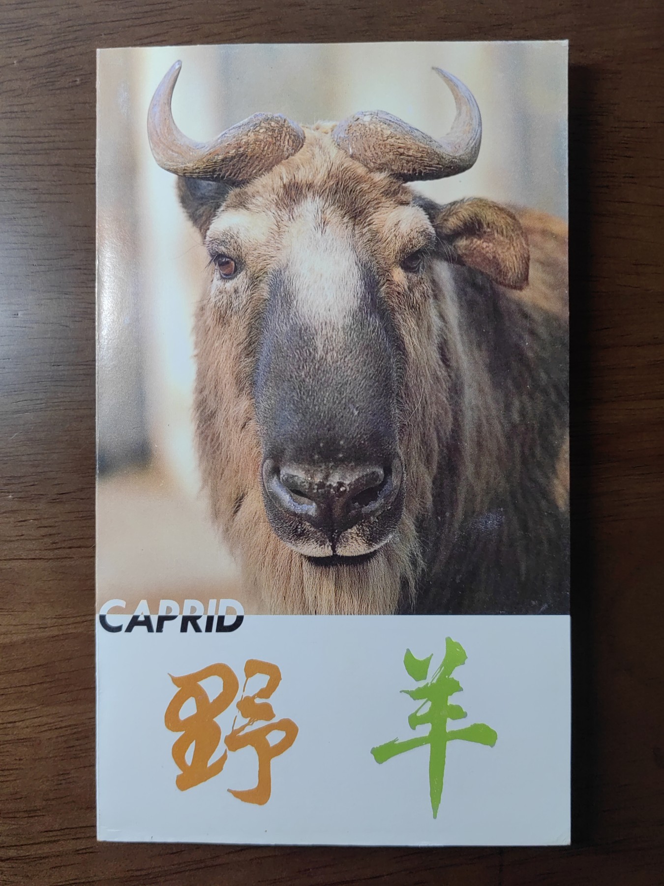 中国：纪念邮折专场（秒杀）第①⑦场 T161 1991 野羊 