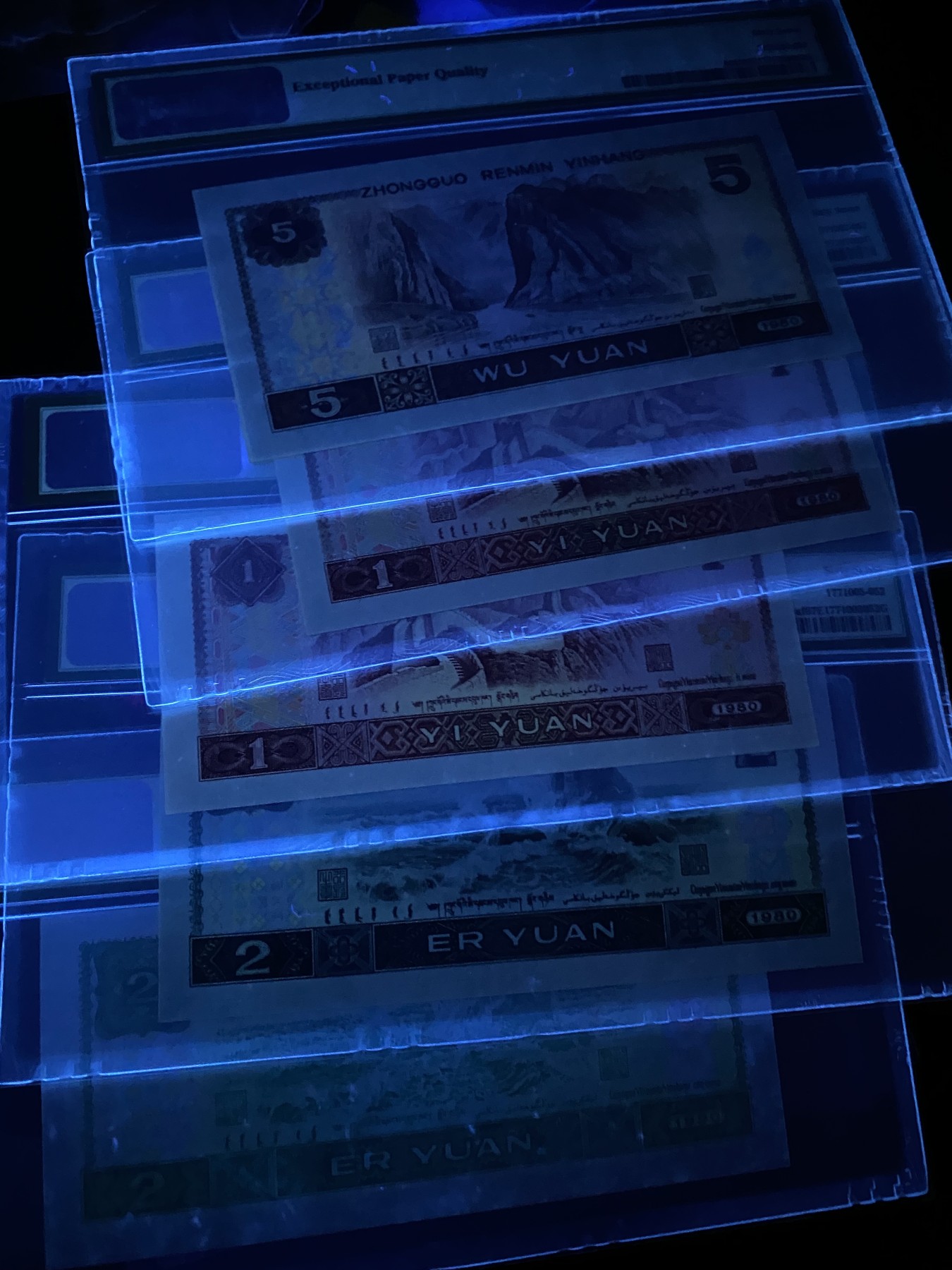 大黄蜂拍卖第89期 绿幽灵，绿钻，金龙王，红金龙，苍松，全程无47尾952，67分