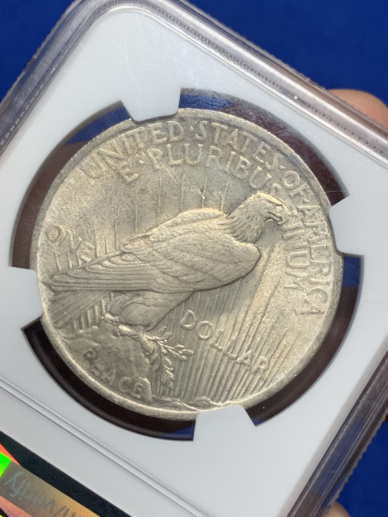 《竞宝斋》第209场-周日，周一 2场 (全场包邮) NGC MS62 美国1923年摩根与和平美元100周年银币，味道很好，尤其是背面。