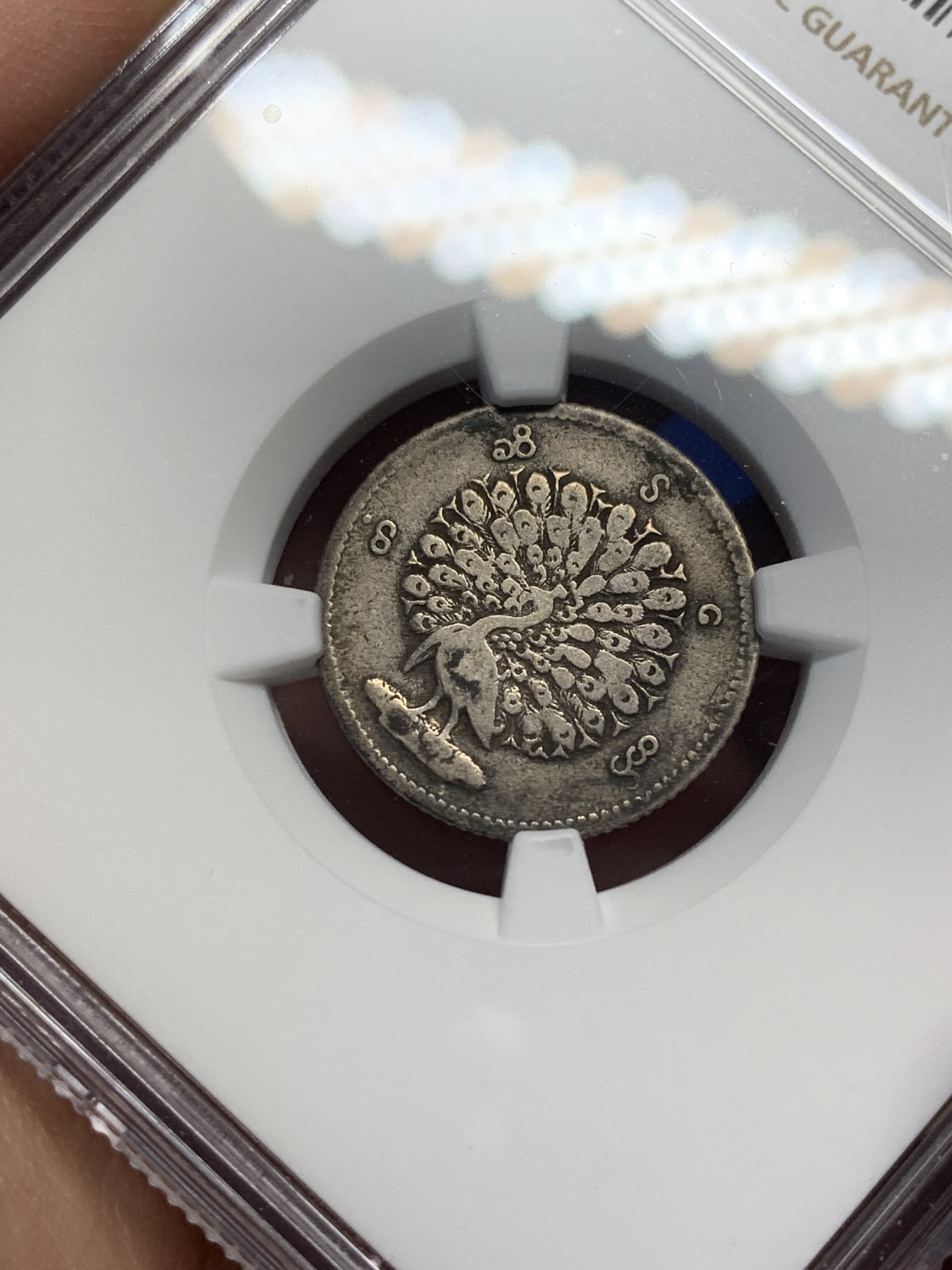 《竞宝斋》第209场-周日，周一 2场 (全场包邮) NGC-VF30 缅甸1852年 1MAT 孔雀银币 老五彩原味包浆，细节到位，包浆入骨，孔雀银币越来越受重视，好品越来越少了，升值潜力巨大