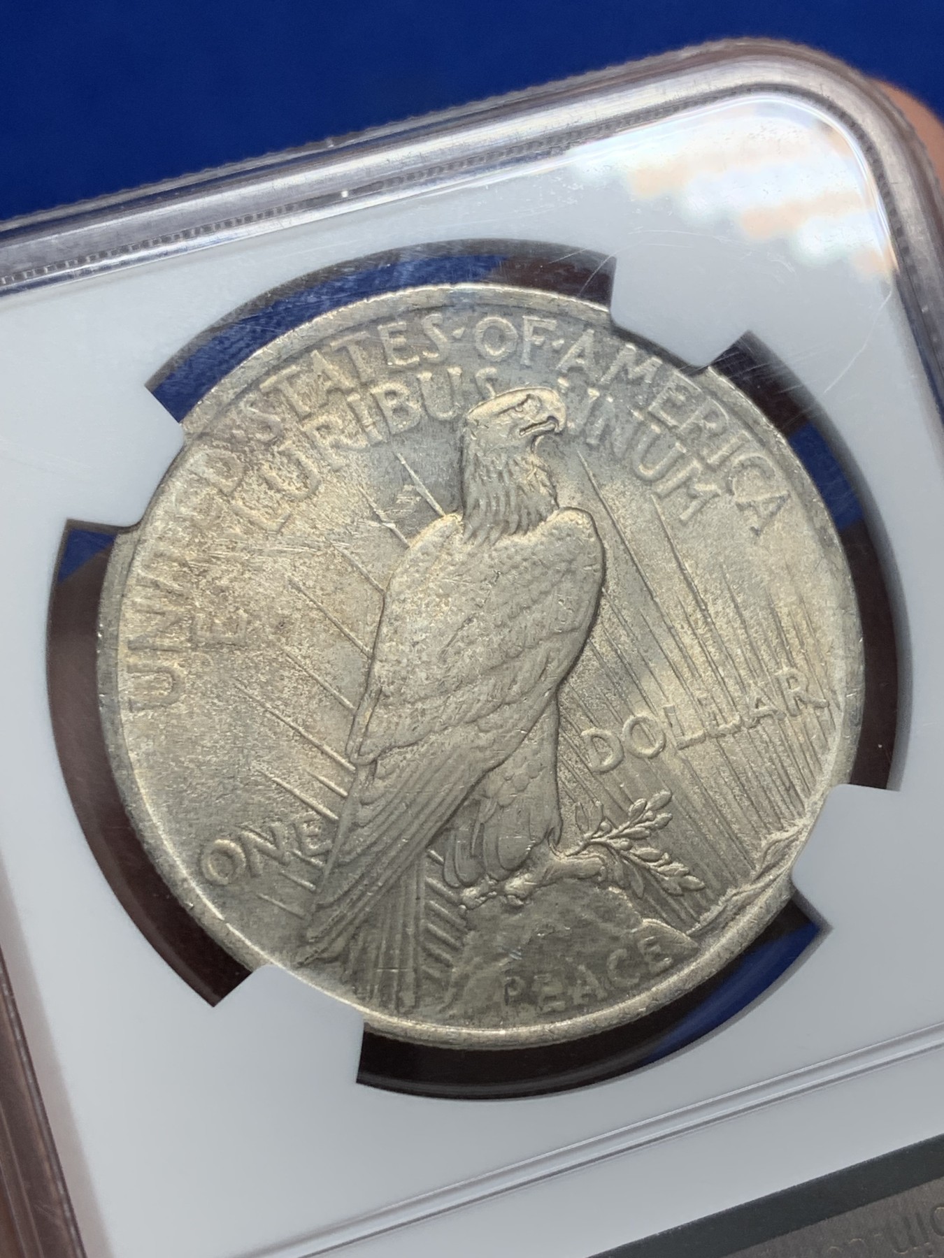 《竞宝斋》第209场-周日，周一 2场 (全场包邮) NGC MS62 美国1923年摩根与和平美元100周年银币，味道很好，尤其是背面。