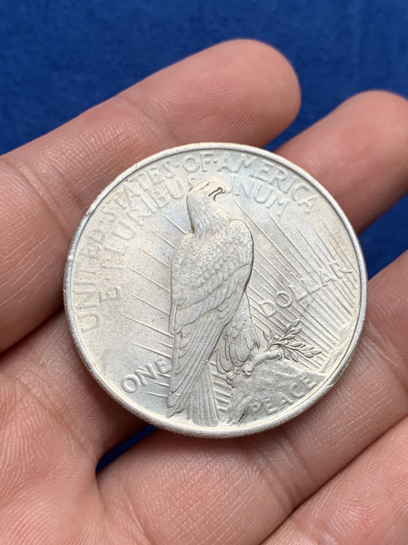 《竞宝斋》第209场-周日，周一 2场 (全场包邮) 美国1923年和平女神1美元银币