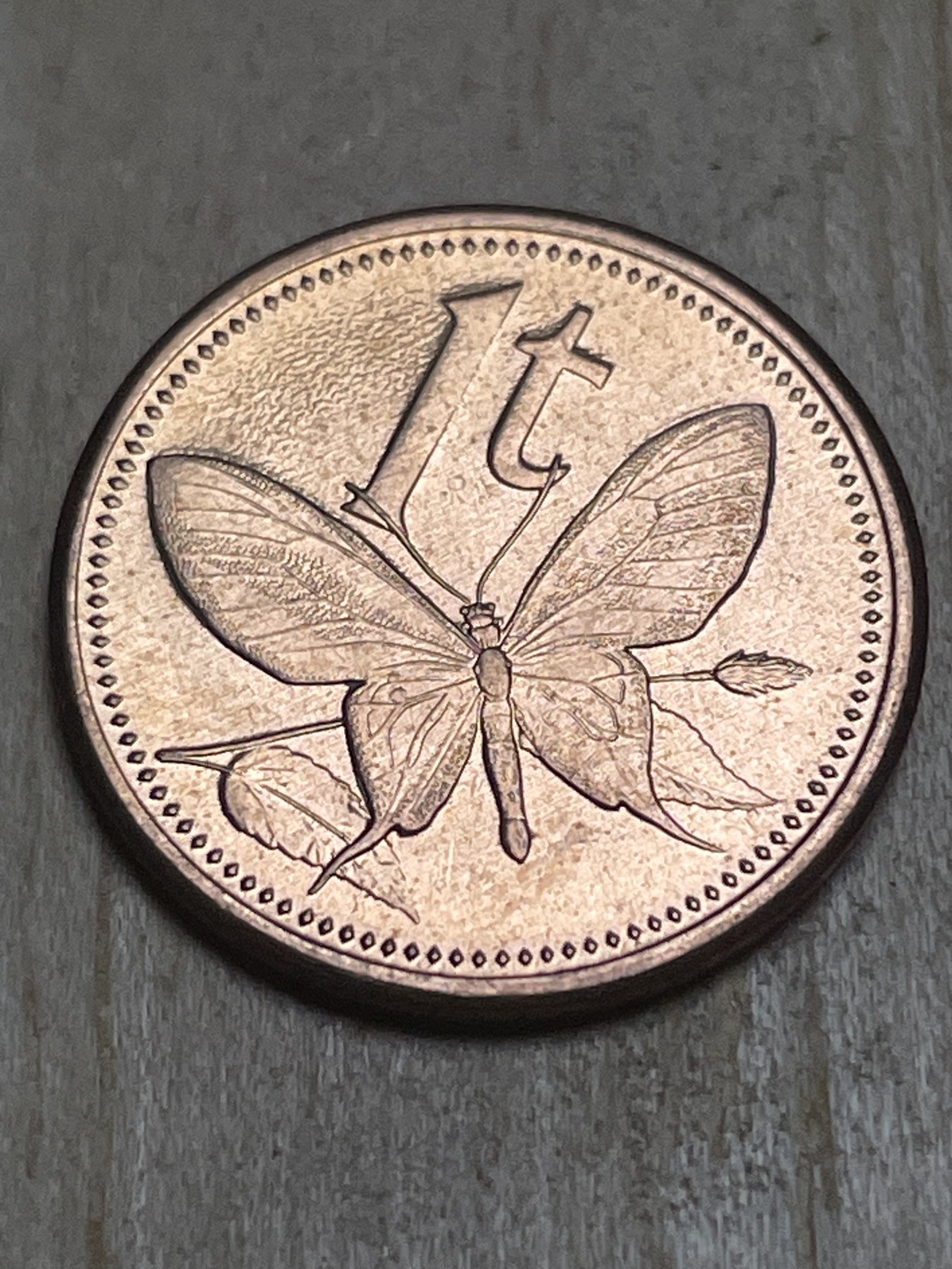 神仙姐姐散币专场第四期（无佣金，预留一期） 全新2004巴布亚新几内亚1托伊铜币蝴蝶