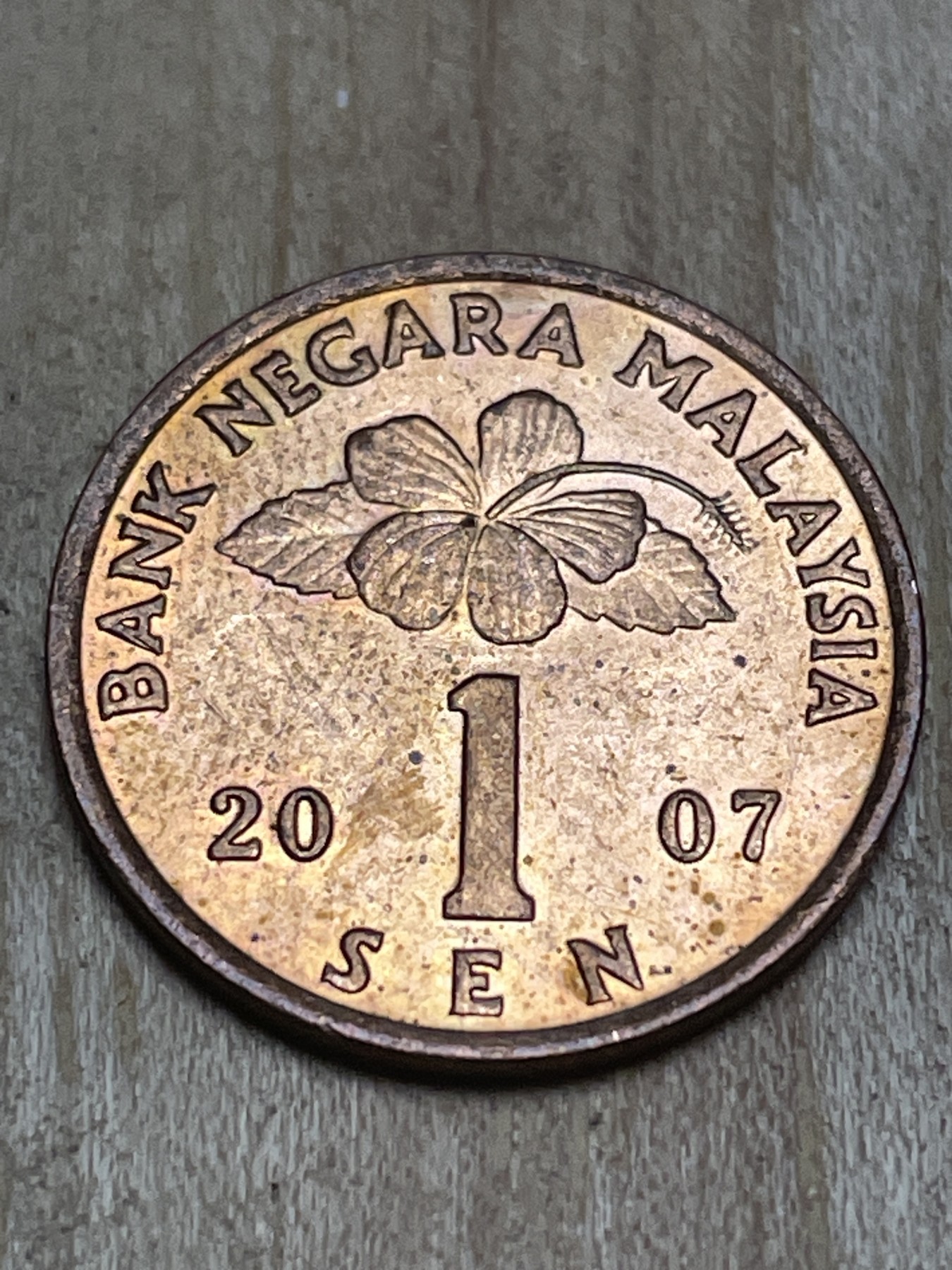 神仙姐姐散币专场第四期（无佣金，预留一期） 马来西亚民俗版1分