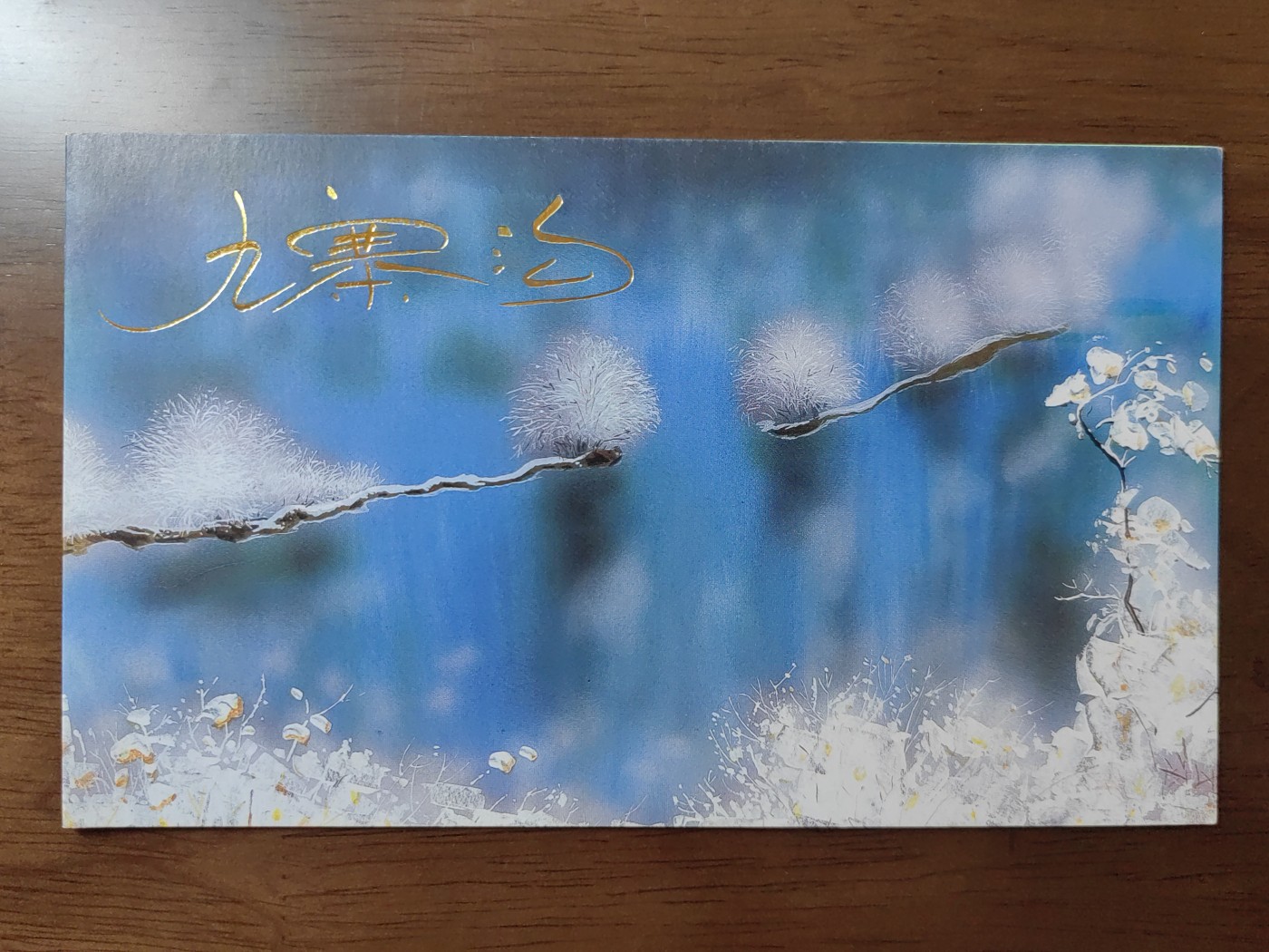 中国：纪念邮折专场（秒杀）第①⑦场 1998-6 九寨沟