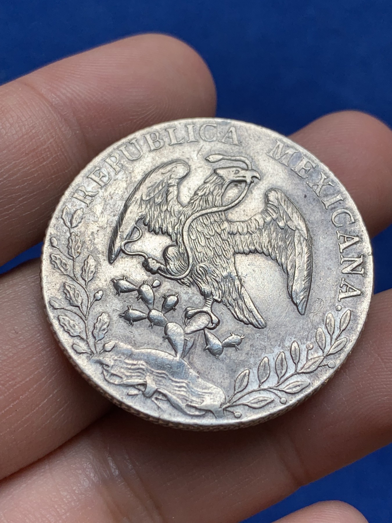 《竞宝斋》第209场-周日，周一 2场 (全场包邮) 墨西哥 1889年 8R 花边鹰洋银币 包浆味道不错 品像过关 羽毛细节打制清晰 带银光