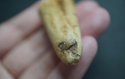 手串木器杂件｜拍卖专场 家养鹿角钟馗挂件｜尺寸详见图九