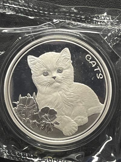 【币观天下】第237期钱币拍卖 - 斐济2022年猫咪1盎司精制银币
