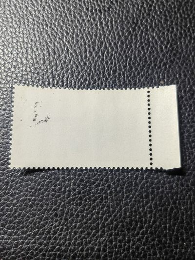 洪涛臻品批发群 精选邮票限时拍卖第1154期  特74解放军盖销8-4一枚，版撕全品，精品热门票。盖销超高性价比，喜欢不要错过