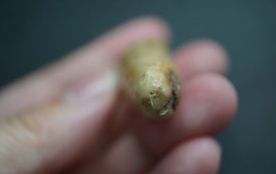 手串木器杂件｜拍卖专场 家养鹿角钟馗挂件｜尺寸详见图九