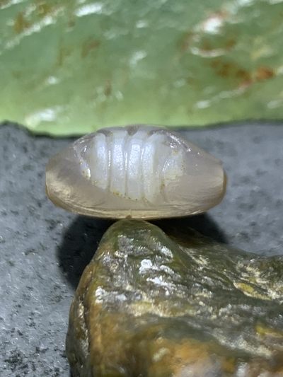 精美亚光高玉化巴西玛瑙手工雕刻兽首一体佛头三通一个 精美亚光高玉化巴西玛瑙手工雕刻兽首一体佛头三通一个