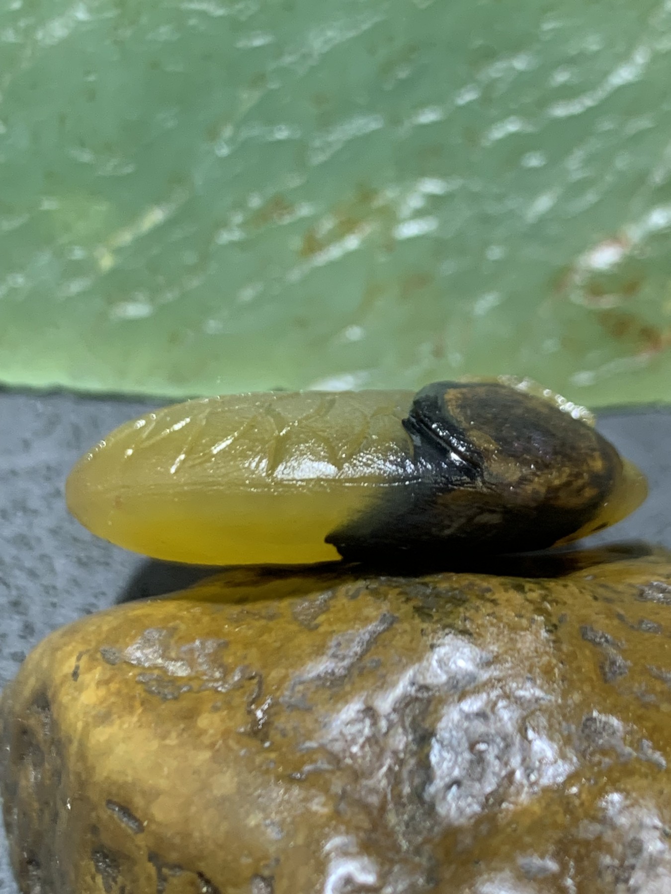 精美亚光高玉化原皮冻料天眼纹战国红玛瑙手工雕刻富贵有余平安扣一个
