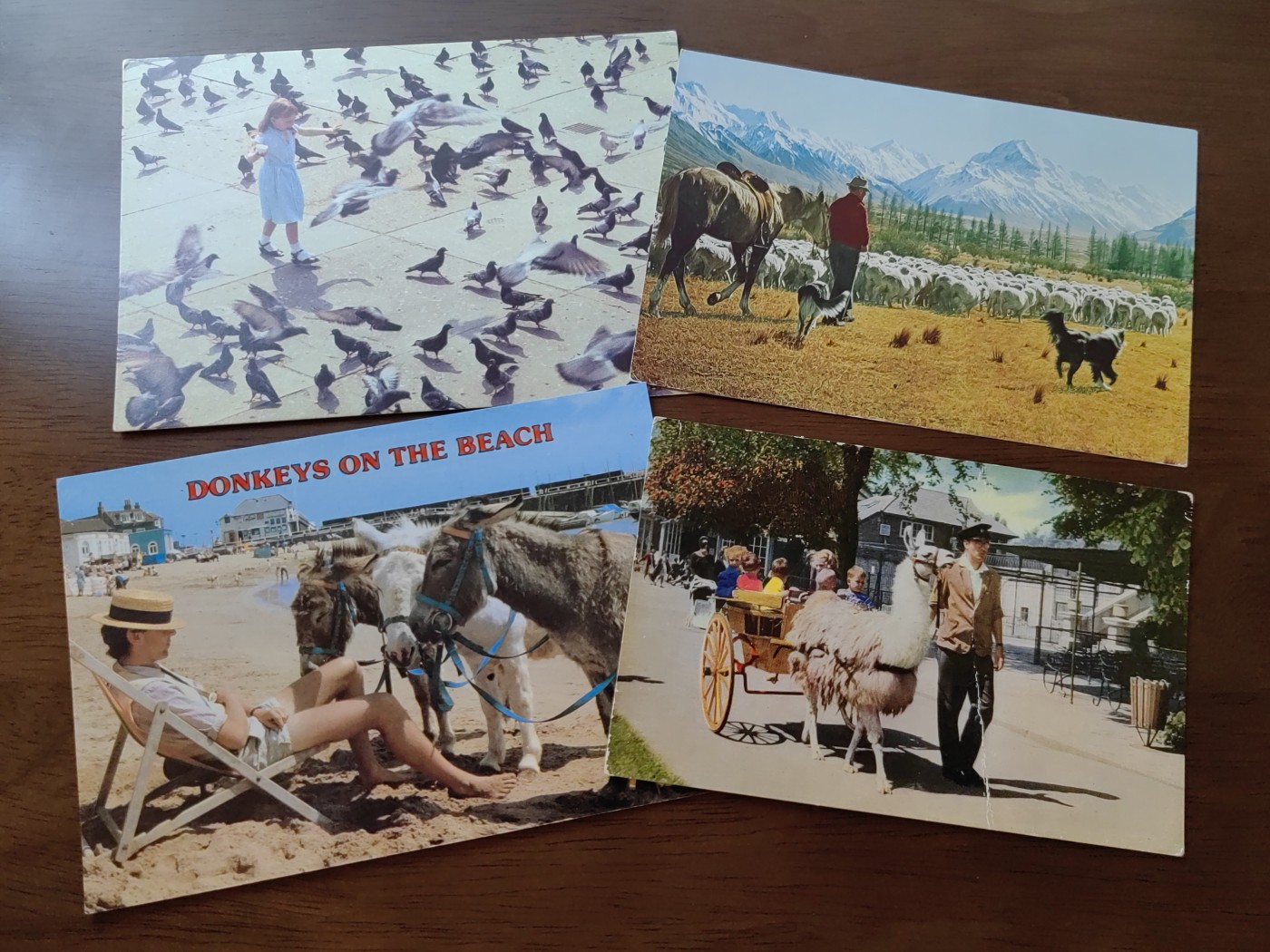 精选邮品专场（秒杀）第①⑧场 动物