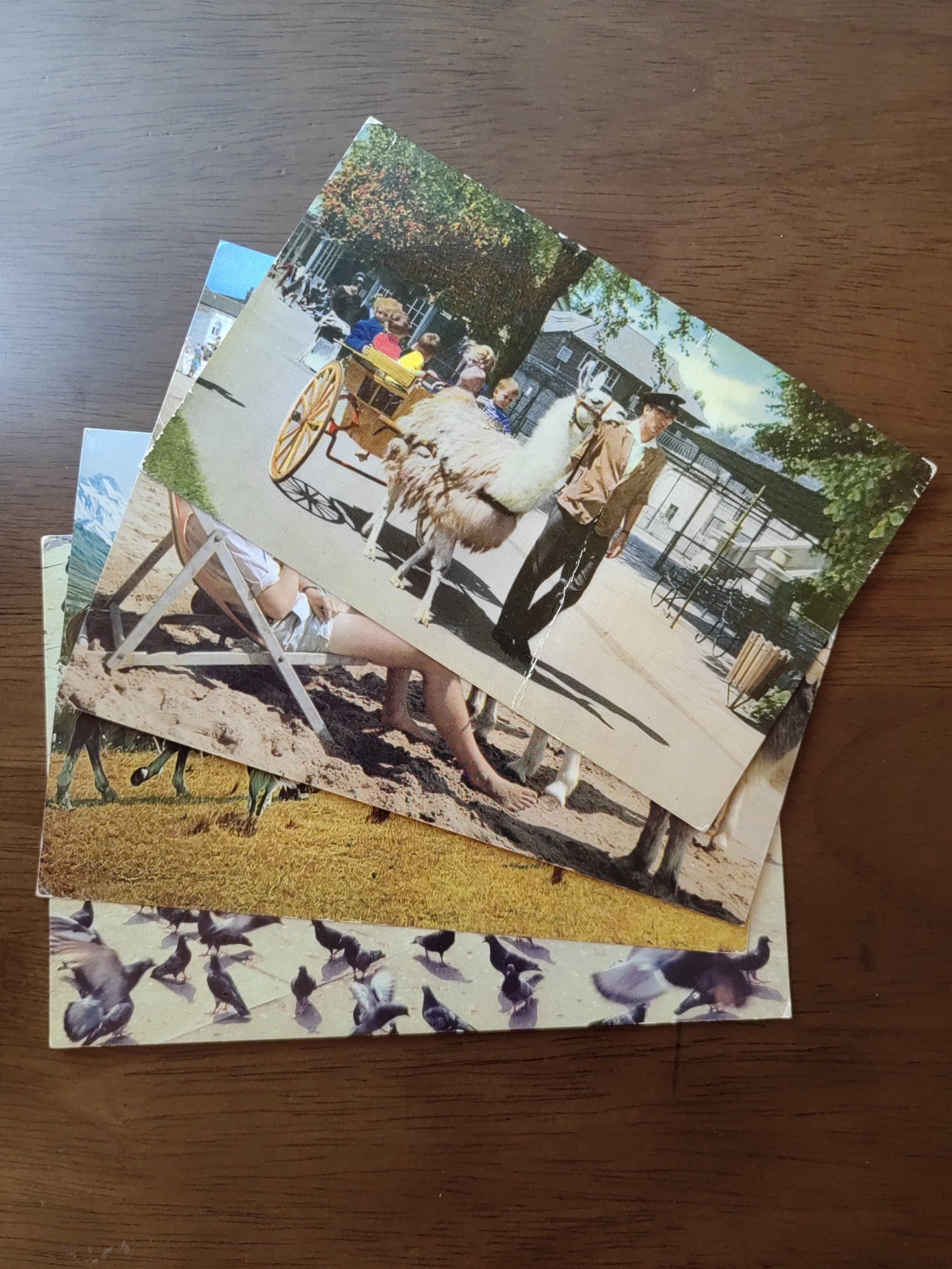 精选邮品专场（秒杀）第①⑧场 动物