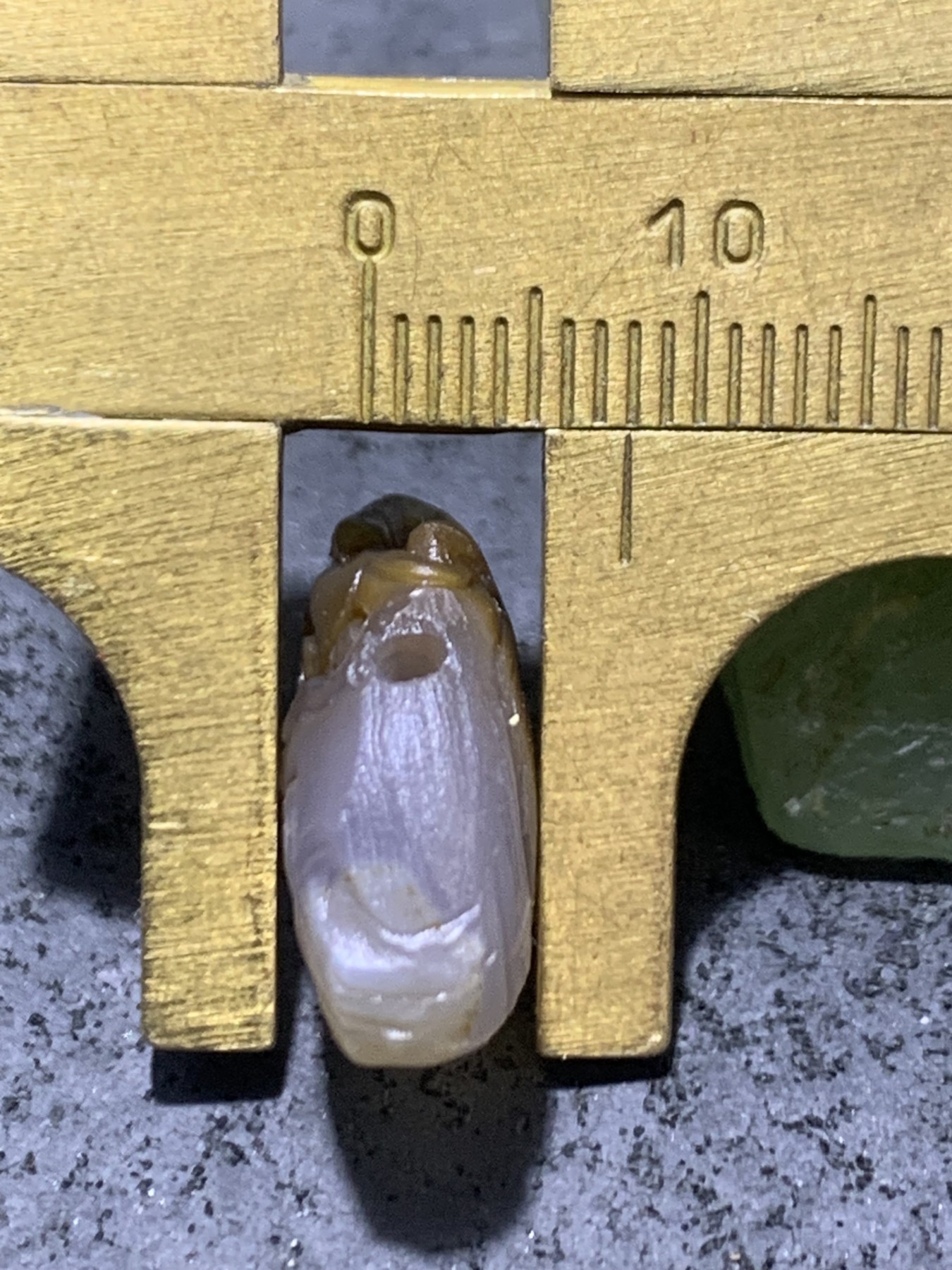 精美亚光高玉化巴西玛瑙手工雕刻兽首一体佛头三通一个