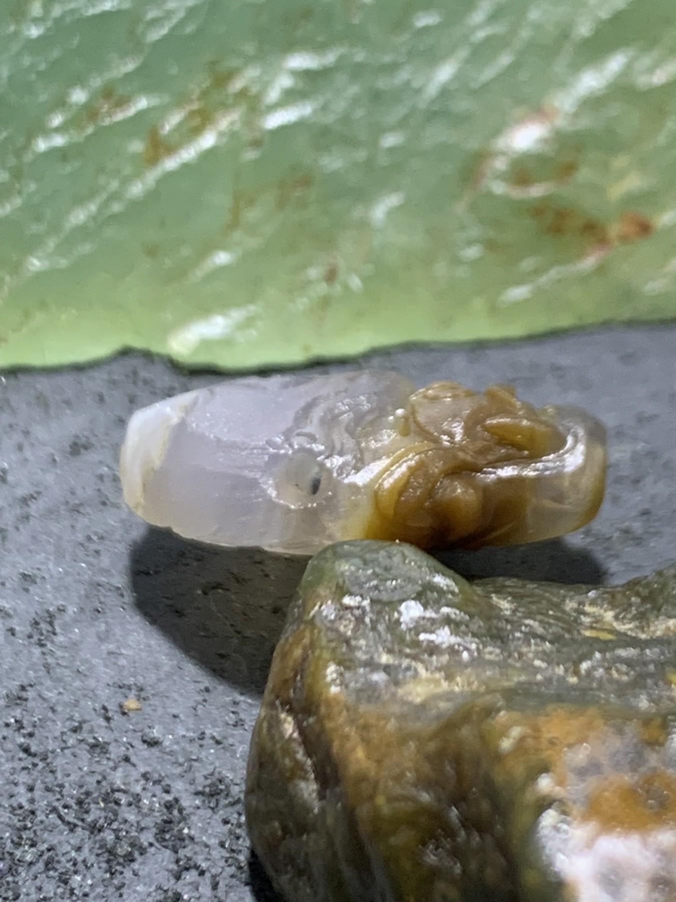 精美亚光高玉化巴西玛瑙手工雕刻兽首一体佛头三通一个