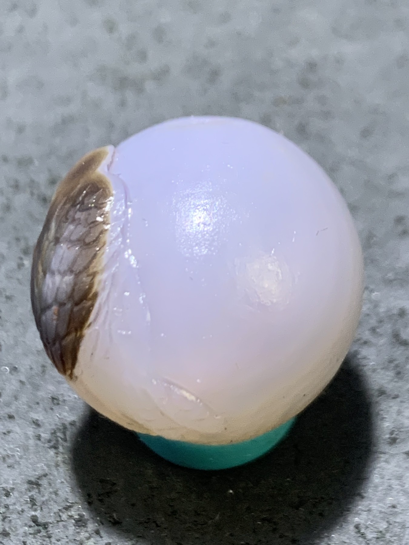 精美高玉化亚光海洋玉髓手工俏色巧雕喜上眉梢随形2.0圆珠一个！