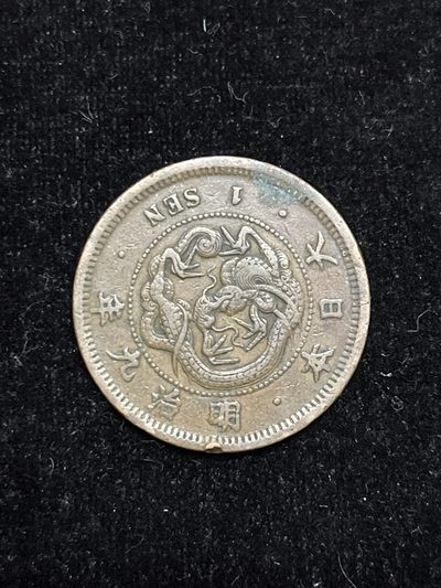 日本龙钱 - 3