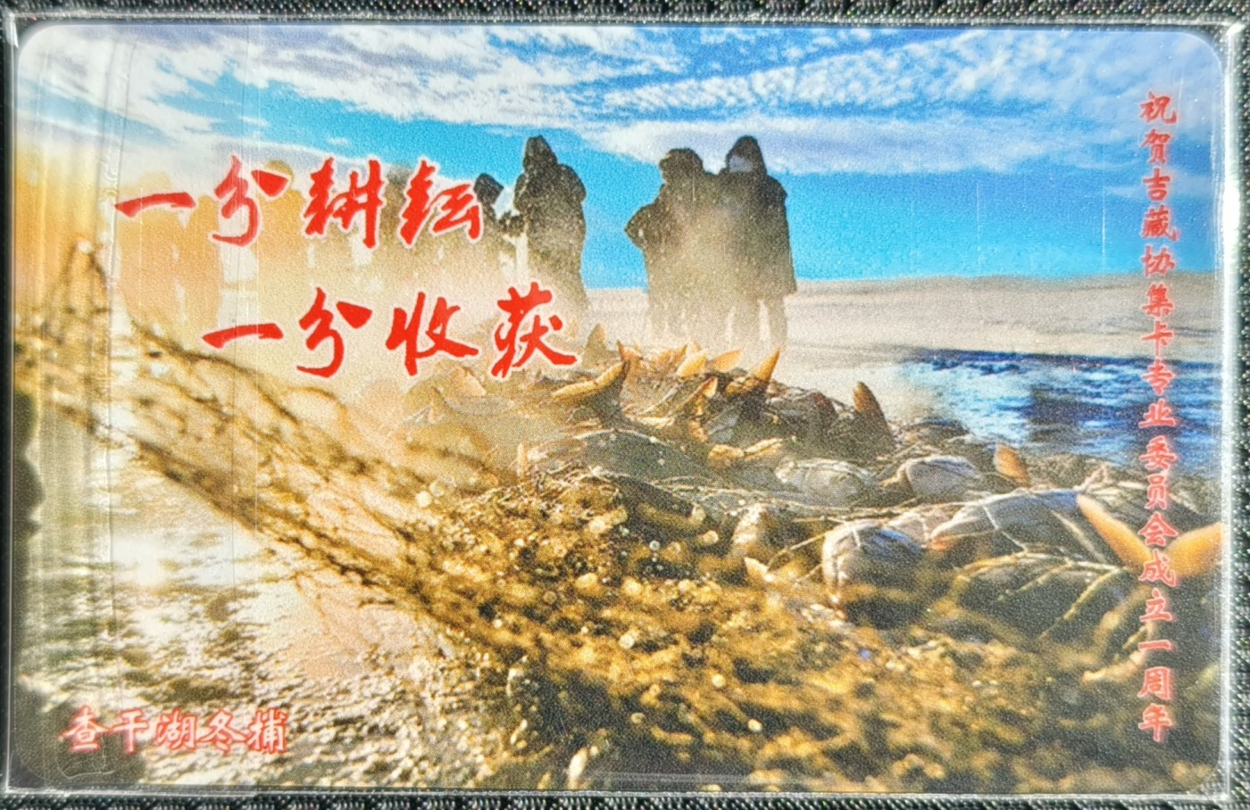 长春集卡沙龙系列卡--最美查干湖