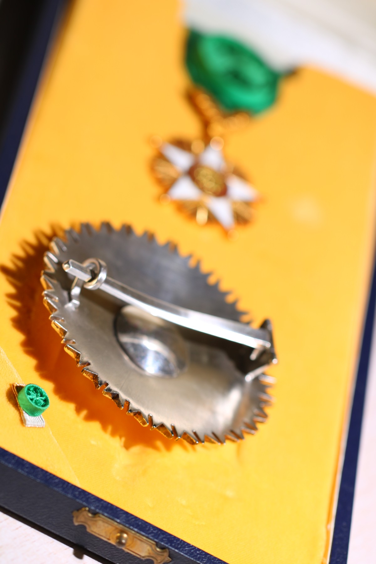 大猫徽章拍卖 第235期  塞内加尔🇸🇳共和国大军官级狮子勋章 