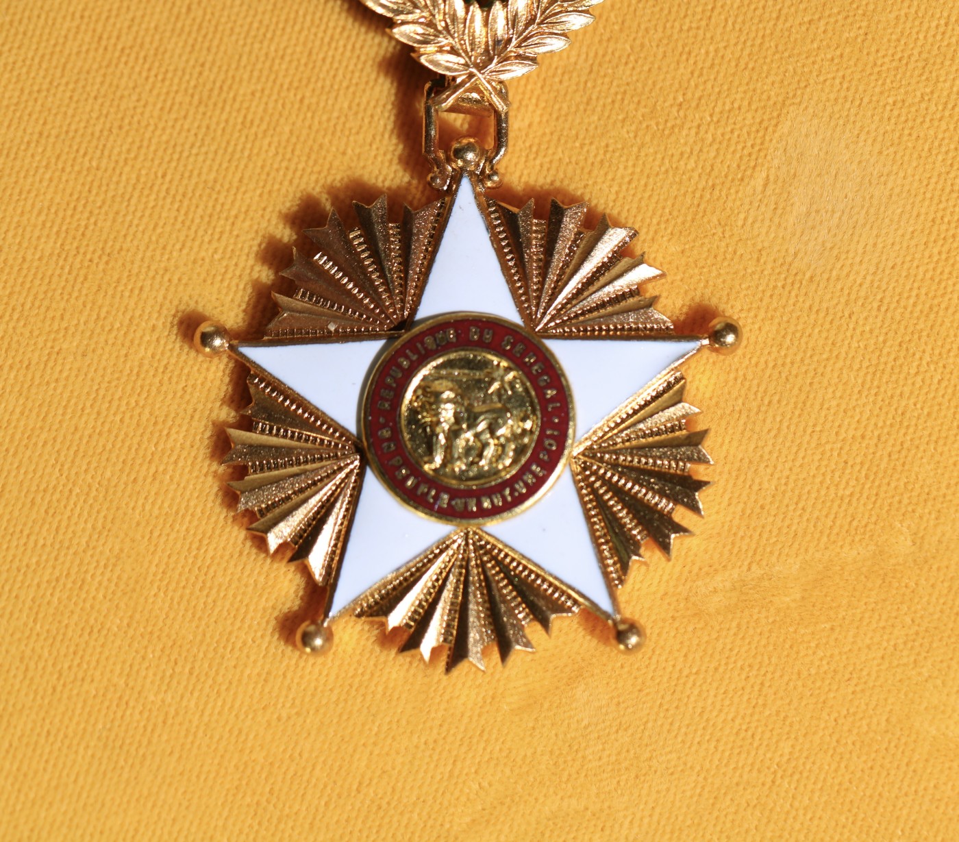 大猫徽章拍卖 第235期  塞内加尔🇸🇳共和国大军官级狮子勋章 