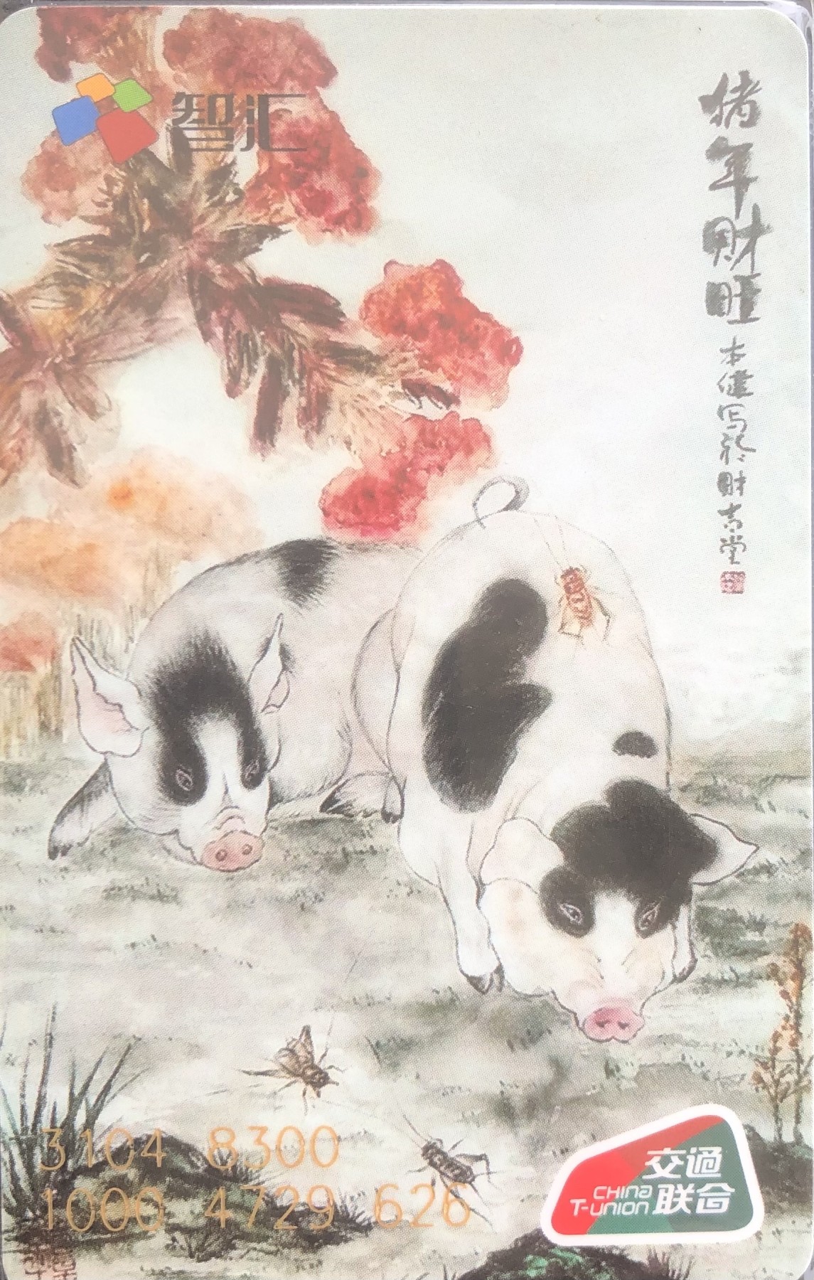 捡漏专场（二）生肖 南京智慧卡 猪生肖 尾号626 集卡委成立一周年