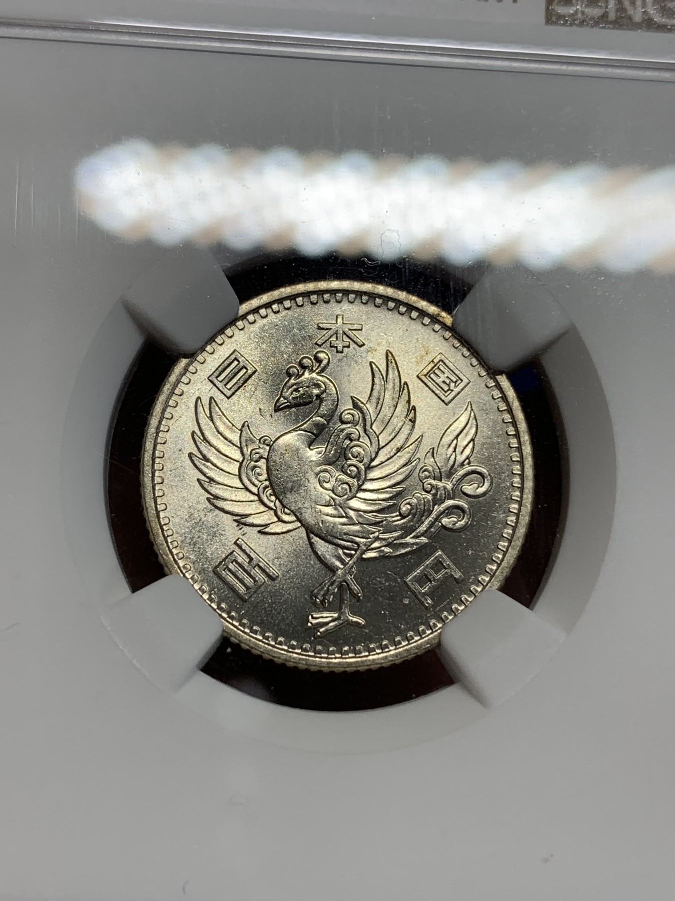 《竞宝斋》第211场-周日，周一 2场 (全场包邮)