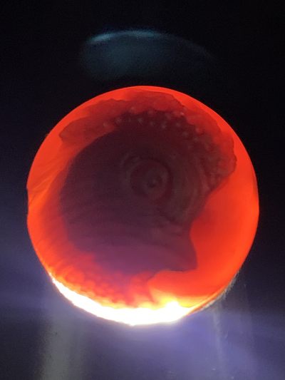 精美亚光高玉化巴西玛瑙手工俏色巧雕雄鸡2.0圆珠一个！ 精美亚光高玉化巴西玛瑙手工俏色巧雕雄鸡2.0圆珠一个！