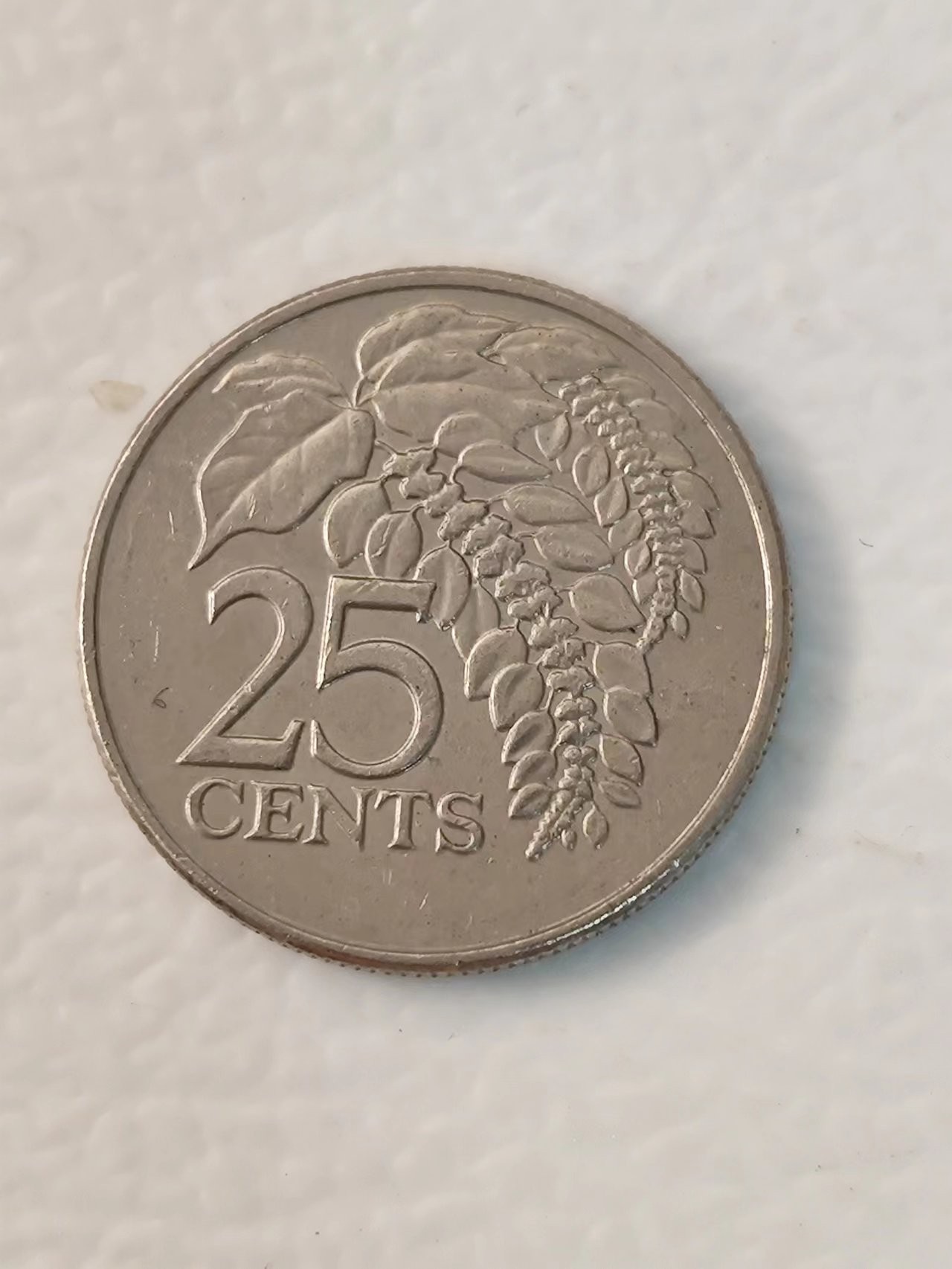 FCO-6-散币-小直径币 特立尼达和多巴哥25分2005