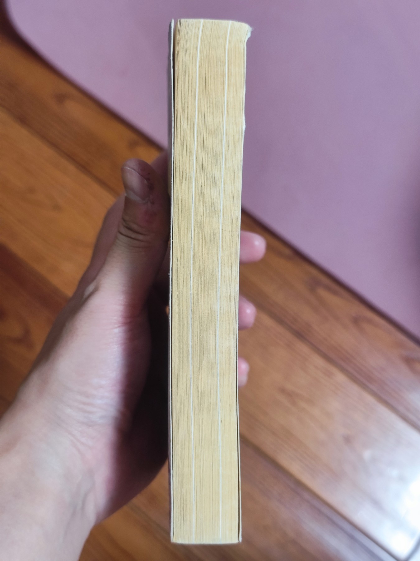 世界精品徽章收藏拍卖-暖秋专场 原版德语口袋书《庚子拳乱-中国的流血惨剧》，图文并茂，共约335页