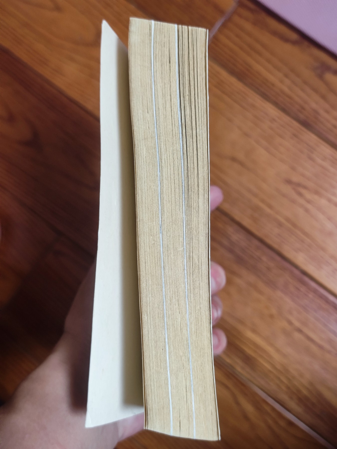 世界精品徽章收藏拍卖-暖秋专场 原版德语口袋书《Peking的血腥夏天》，庚子拳乱主题，图文并茂，大约430页