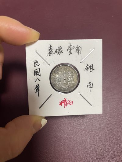 古钱币、银币，铜元大集，特惠上传 - 袁像壹角银币（背头像）