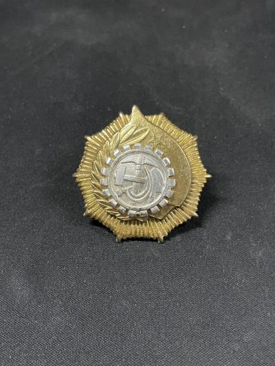戎马世界章牌大赏第52期 - 阿尔巴尼亚一级劳动勋章，后期竖针版，品相完好