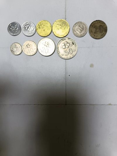 【20231104】非全新硬币第三场 - 马来西亚10枚硬币不同版本，品如图
