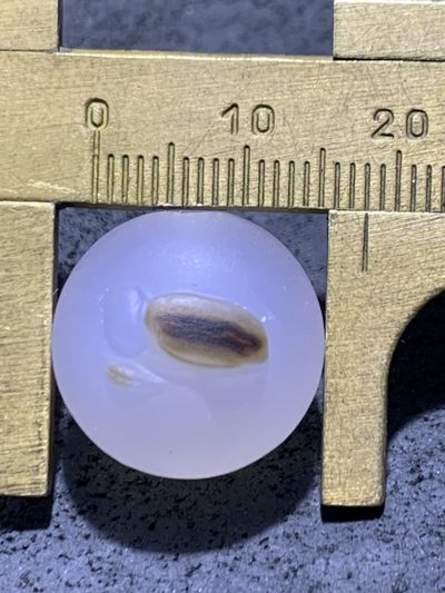 精美高玉化亚光海洋玉髓手工俏色巧雕一叶成佛意境圆珠一个！ 精美高玉化亚光海洋玉髓手工俏色巧雕一叶成佛意境圆珠一个！