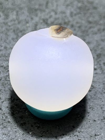 精美高玉化亚光海洋玉髓手工俏色巧雕一叶成佛意境圆珠一个！ 精美高玉化亚光海洋玉髓手工俏色巧雕一叶成佛意境圆珠一个！