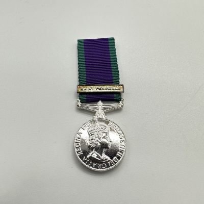 勋章奖章交易所11.11拍卖 - 英国常规服役迷你章