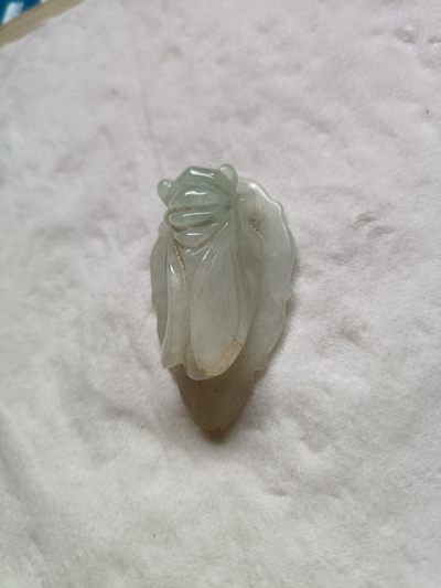 铜器~杂项~玉器件 - 翡翠蝉