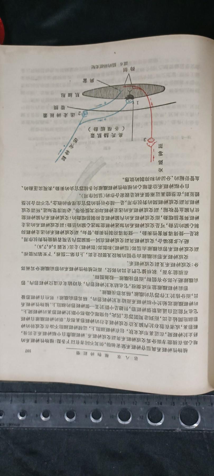 天字一号拍卖，100件拍品全部0起！ 精装苏联高等学院教材，印量10000本！