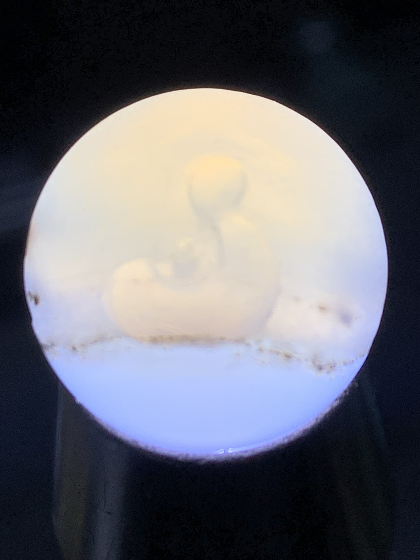 精美高玉化亚光一线海洋玉髓手工俏色巧雕无相佛意境2.0圆珠一个！