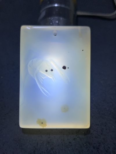 精美高玉化海洋玉髓手工俏色巧雕白石老人虾意境牌子一个！ 精美高玉化海洋玉髓手工俏色巧雕白石老人虾意境牌子一个！